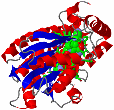 Image Asym. Unit - sites