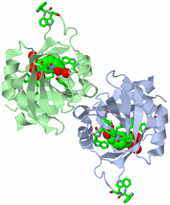 Image Asym./Biol. Unit - sites