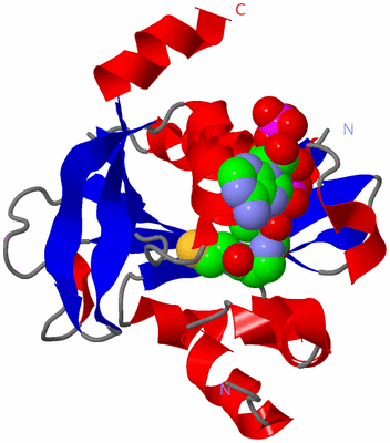 Image Asym./Biol. Unit