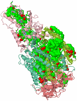 Image Asym./Biol. Unit - sites