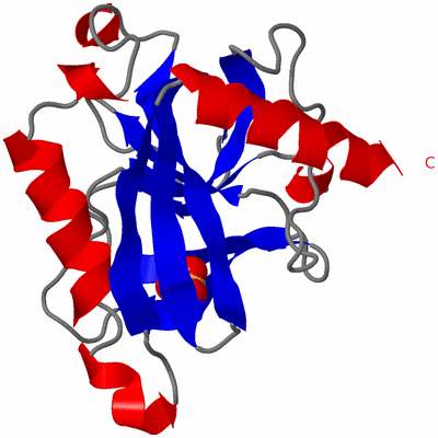 Image Asymmetric Unit