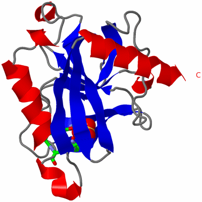 Image Asym. Unit - sites