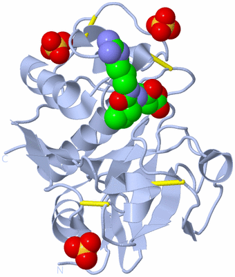 Image Biological Unit 1