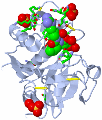 Image Biol. Unit 1 - sites