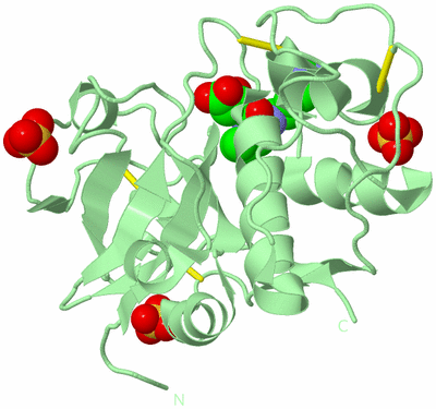 Image Biological Unit 2