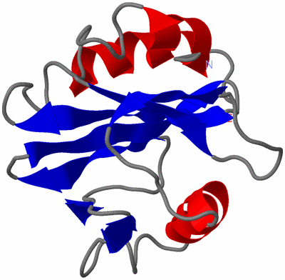 Image NMR Structure - model 1