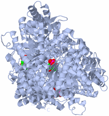 Image Biological Unit 1