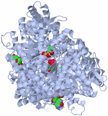 Image Biological Unit 1