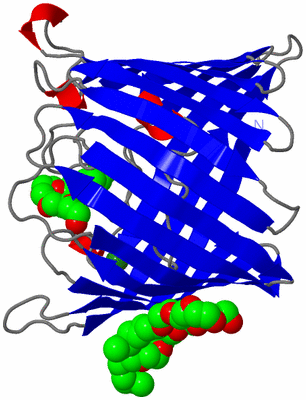 Image Asymmetric Unit