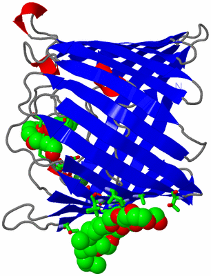 Image Asym. Unit - sites