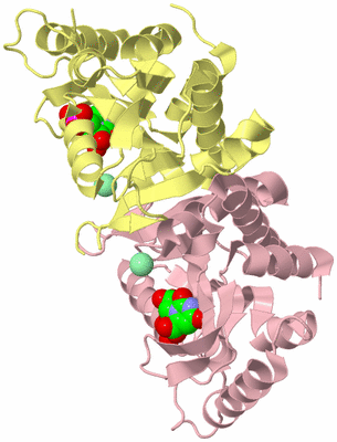 Image Biological Unit 2