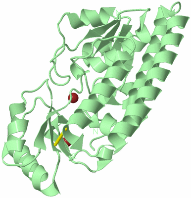 Image Biological Unit 2