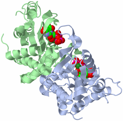 Image Asym./Biol. Unit