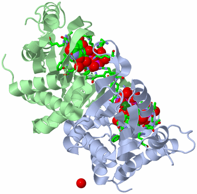 Image Asym./Biol. Unit - sites