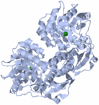 Image Biological Unit 1