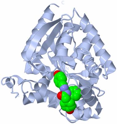 Image Biological Unit 1