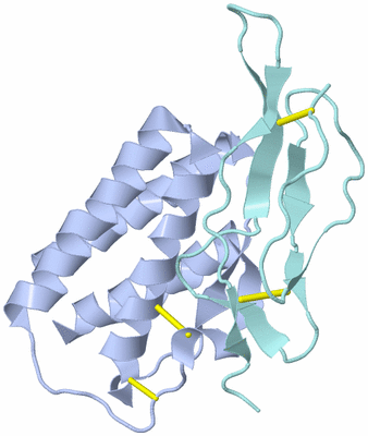 Image Biological Unit 1