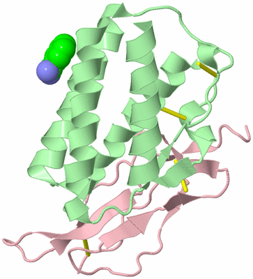 Image Biological Unit 2