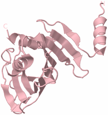 Image Biological Unit 3