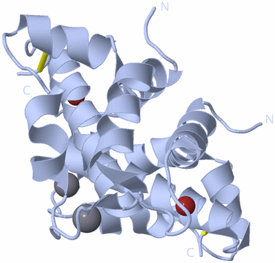 Image Biological Unit 1