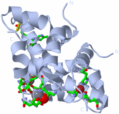 Image Biol. Unit 1 - sites