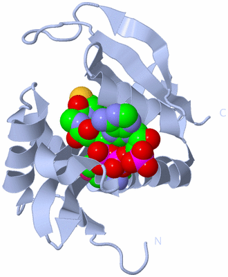 Image Biological Unit 1