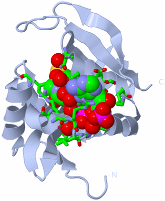 Image Biol. Unit 1 - sites