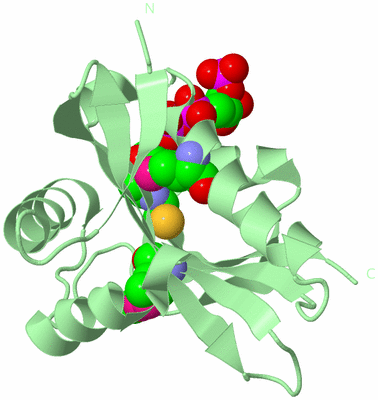 Image Biological Unit 2