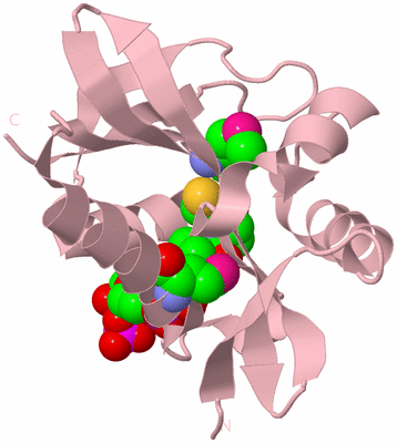 Image Biological Unit 3