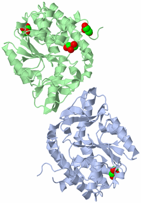 Image Asym./Biol. Unit