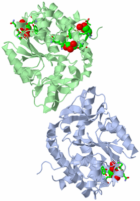 Image Asym./Biol. Unit - sites