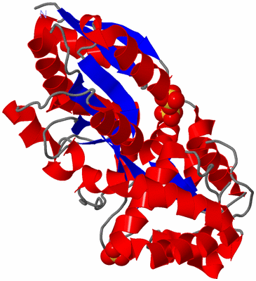 Image Asym./Biol. Unit