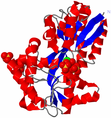 Image Asym./Biol. Unit