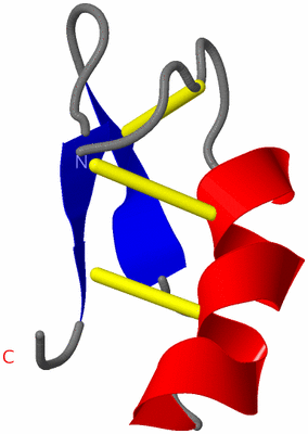 Image NMR Structure - model 1