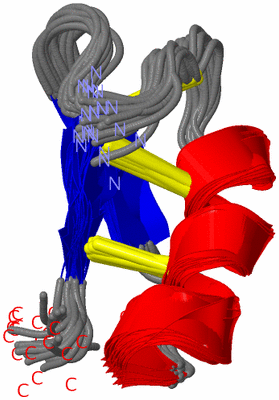 Image NMR Structure - all models