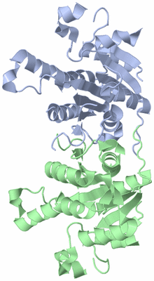 Image Biological Unit 1