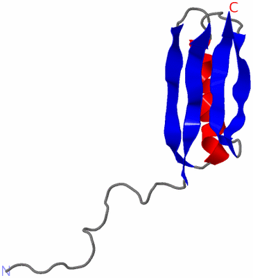 Image NMR Structure - model 1