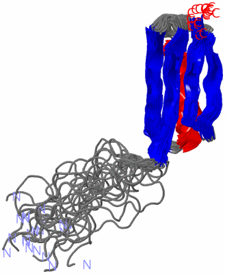 Image NMR Structure - all models