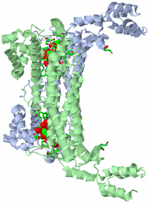 Image Asym. Unit - sites