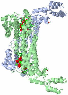 Image Asym. Unit - sites