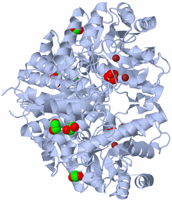 Image Biological Unit 1