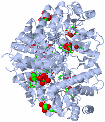 Image Biol. Unit 1 - sites