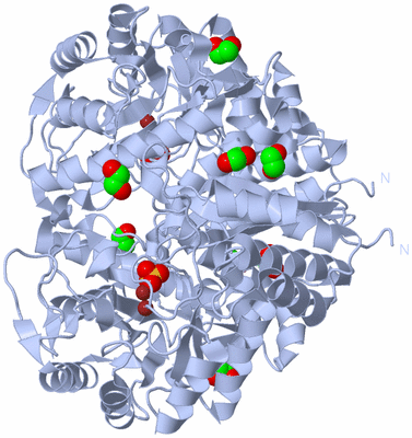 Image Biological Unit 1