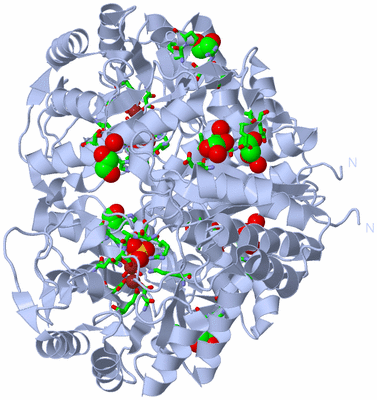 Image Biol. Unit 1 - sites