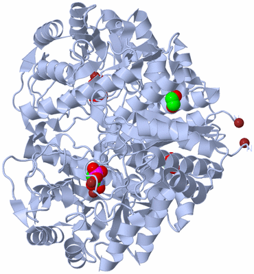 Image Biological Unit 1