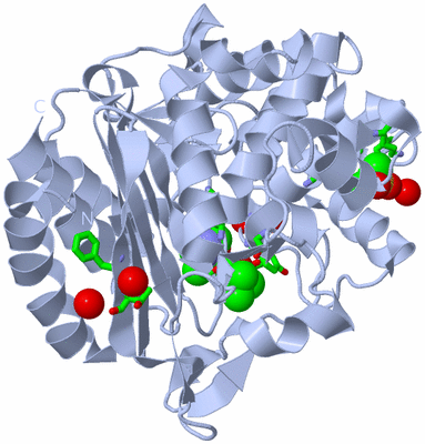 Image Biol. Unit 1 - sites