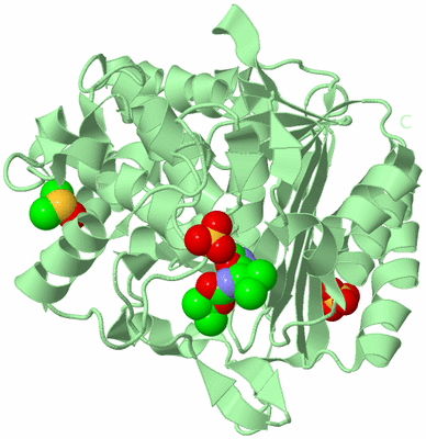 Image Biological Unit 2