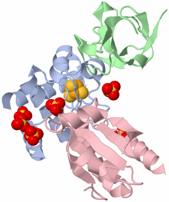 Image Biological Unit 1