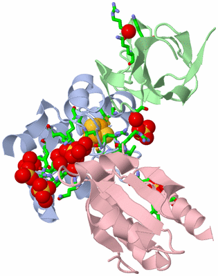 Image Biol. Unit 1 - sites