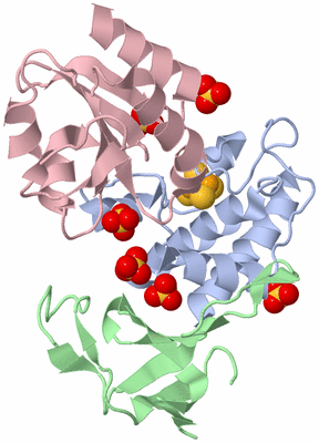 Image Biological Unit 2